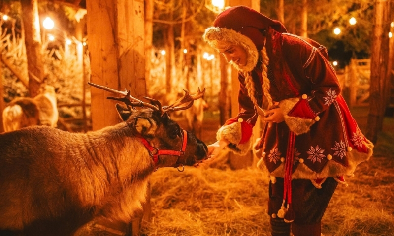 Autumn and winter events 2026 lapland